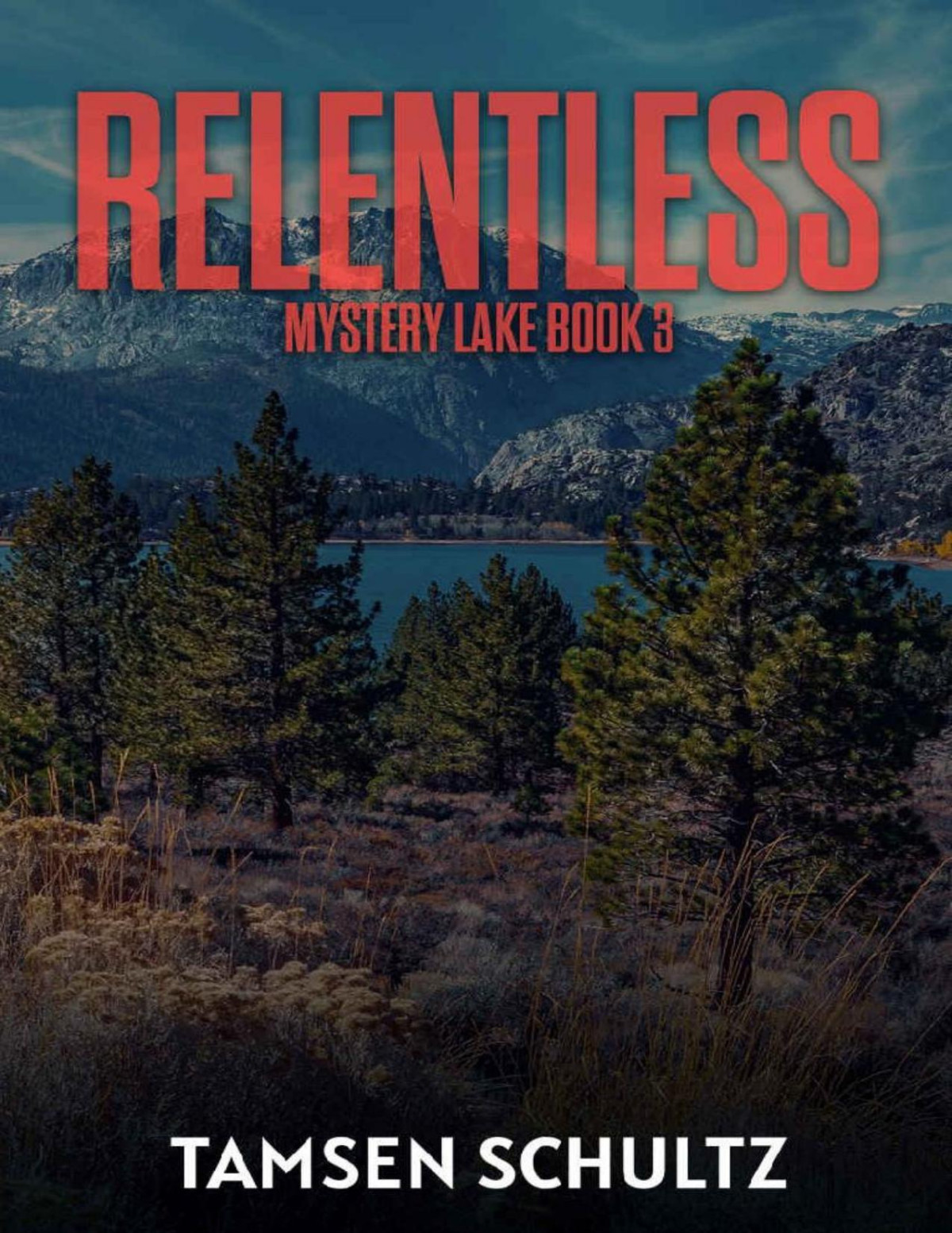 Relentless Mystery Lake Series Book 3 Tamsen Schultz