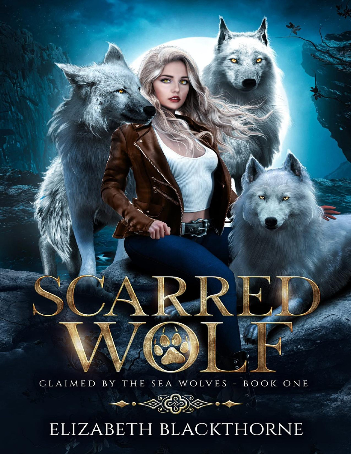 Scarred Wolf A Paranormal Why Choose Romance Claimed By The Sea Wolves Series Book 1 Elizabeth Blackthorne