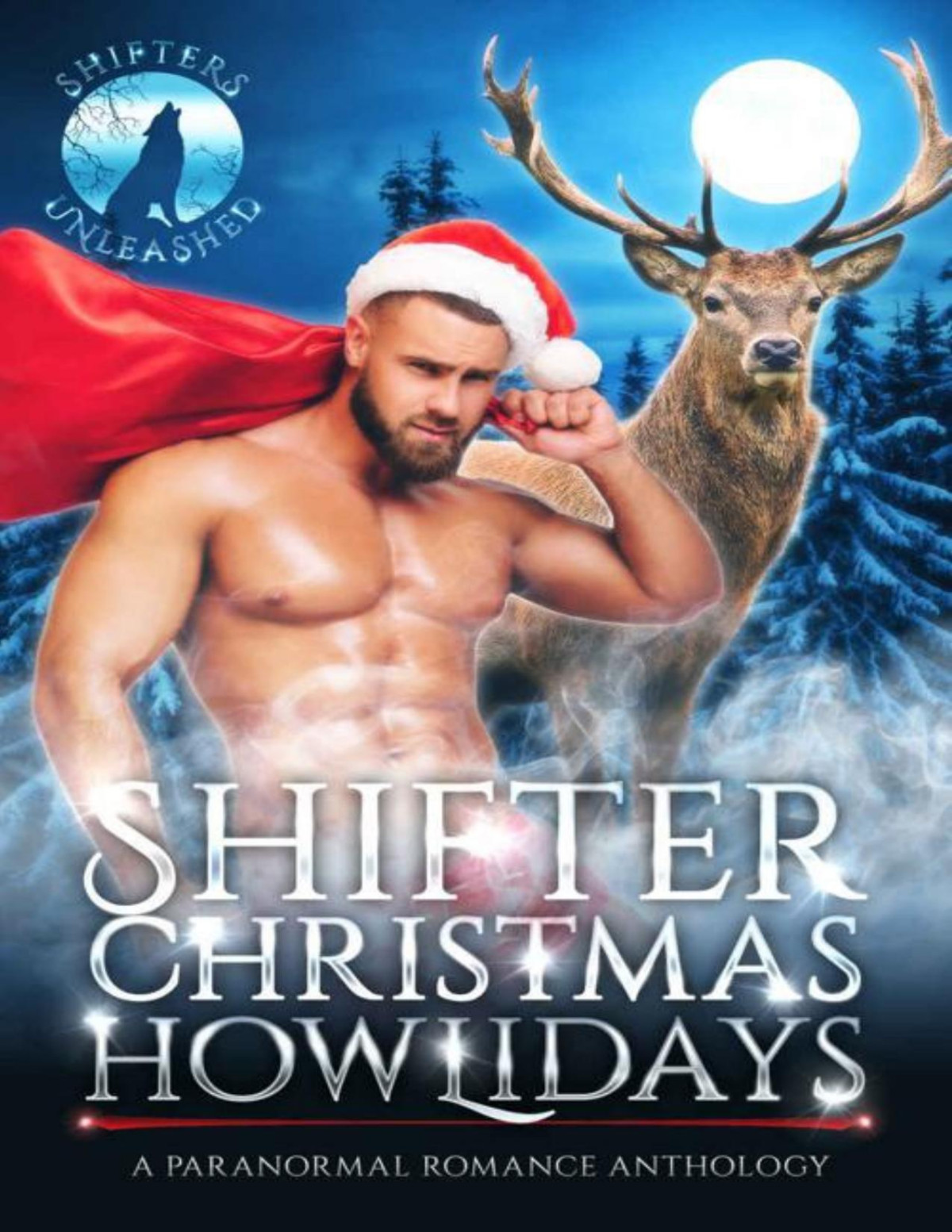 Shifter Christmas Howlidays A Paranormal Romance Anthology Shifters Unleashed Gina Kincade Cd Gorri Erzabet Bishop Shifters Unleashed Julie Morgan Pepper Mcgraw Lulu M Sylvian P Mattern Georgina Stancer Tricia Schneider Ej Powell Marie Harte