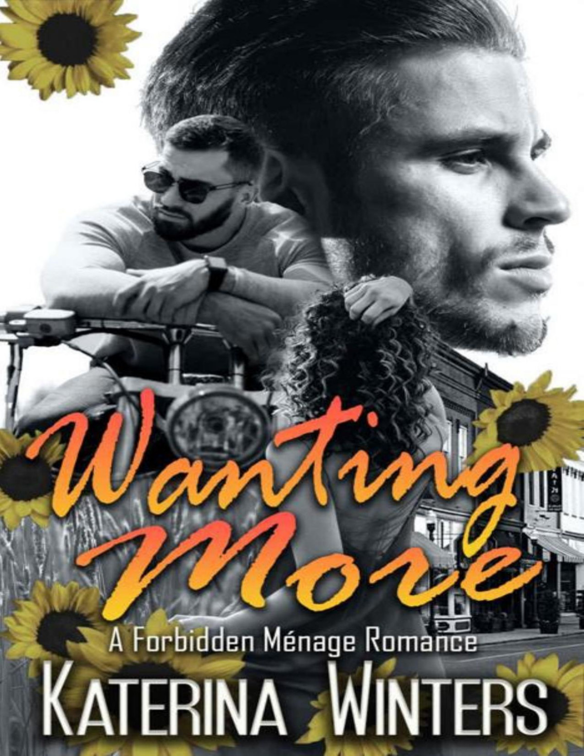 Wanting More A Small Town Forbidden Romance Small Town Forbidden Love Book 1 Katerina Winters