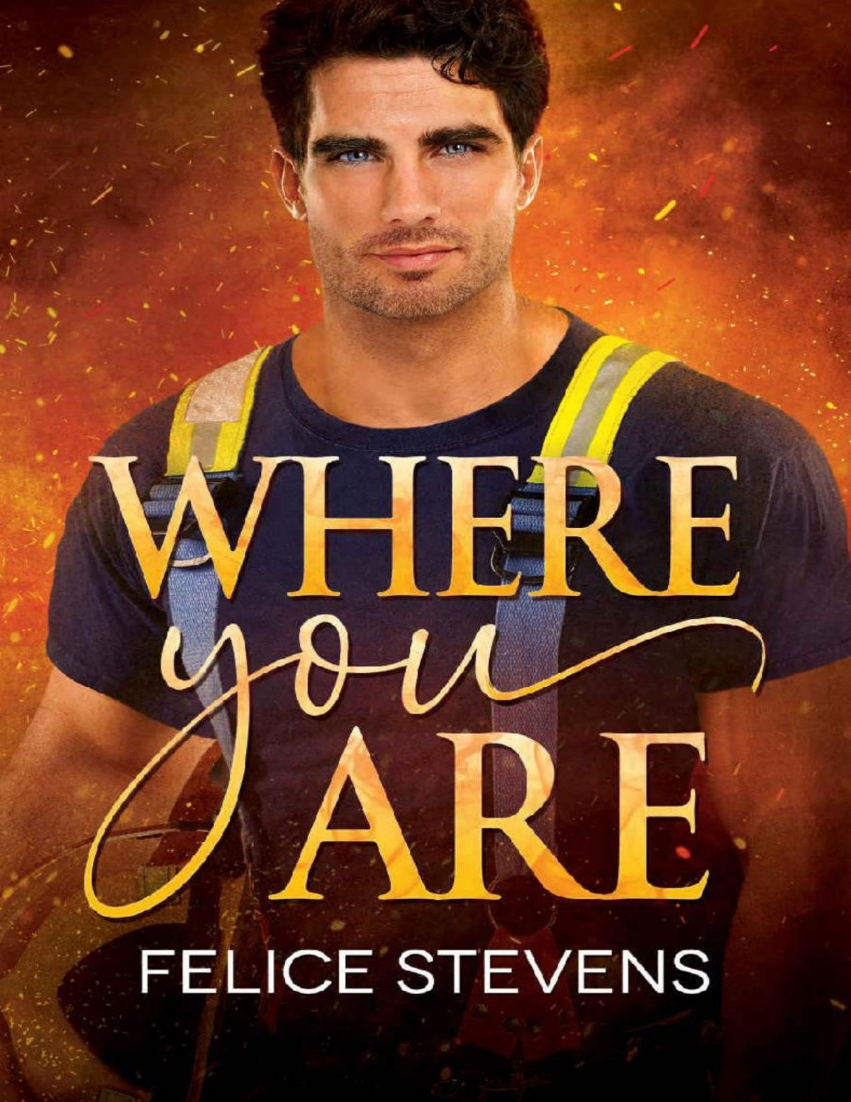 Where You Are Felice Stevens