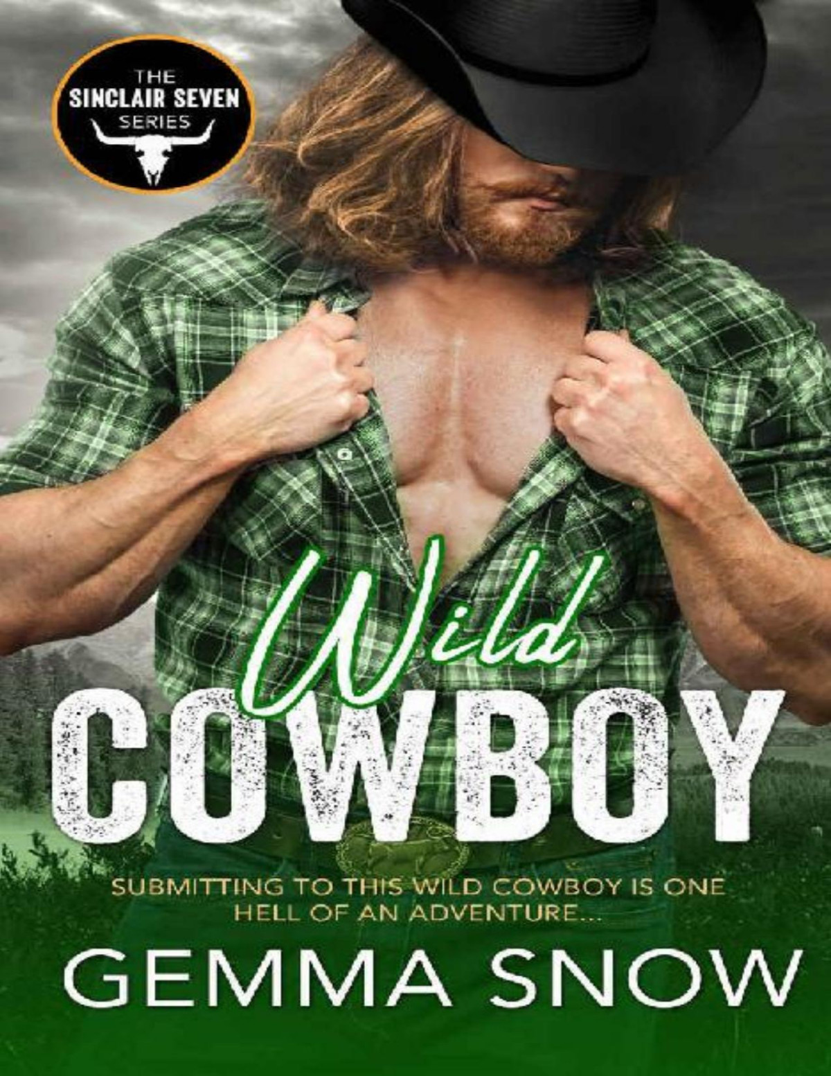 Wild Cowboy The Sinclair Seven Gemma Snow