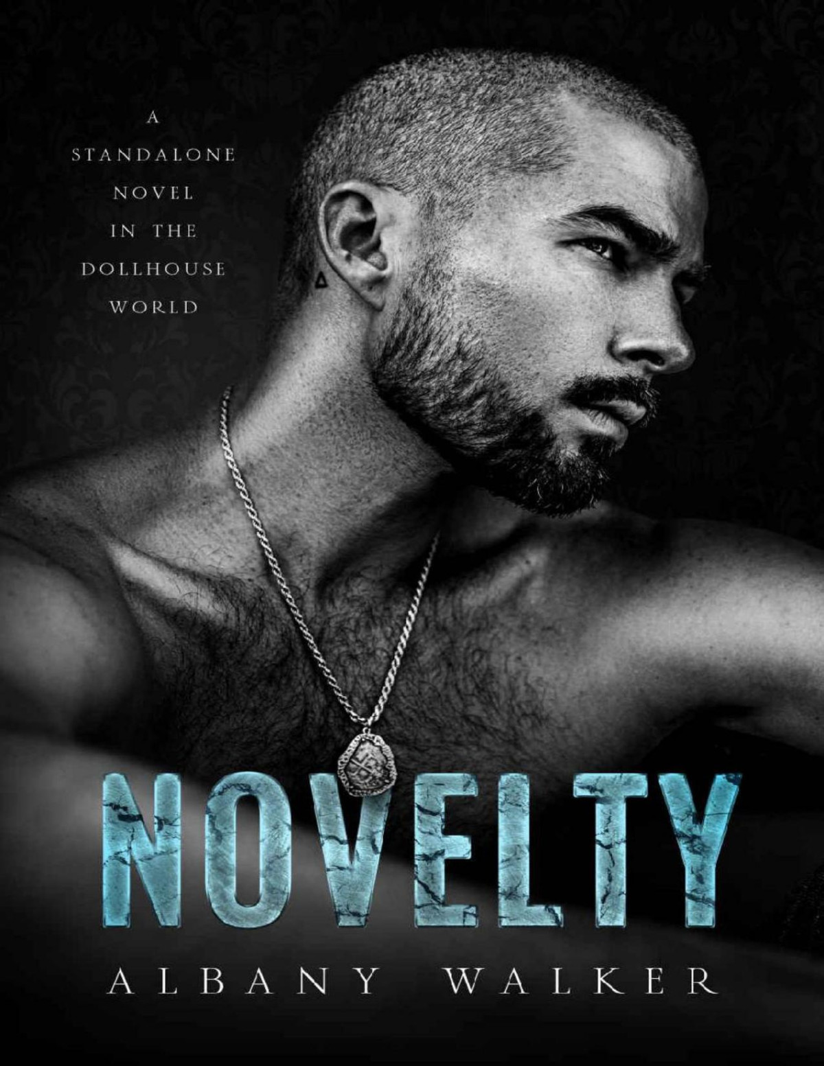 Novelty A Stalker Romance A Dollhouse Novel Standalone Book 3 Albany Walker