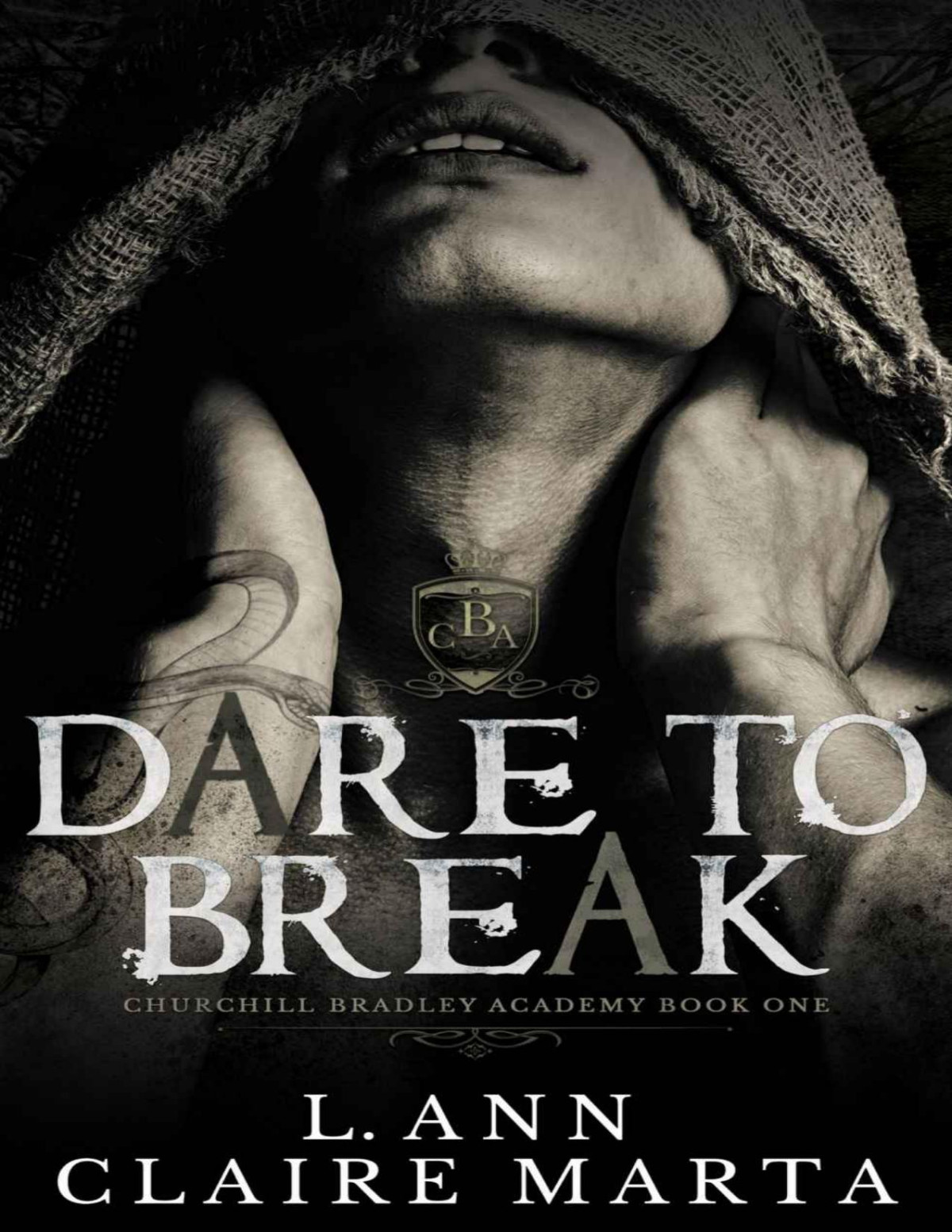 Dare To Break A Dark High School Bully Romance L Ann Claire Marta