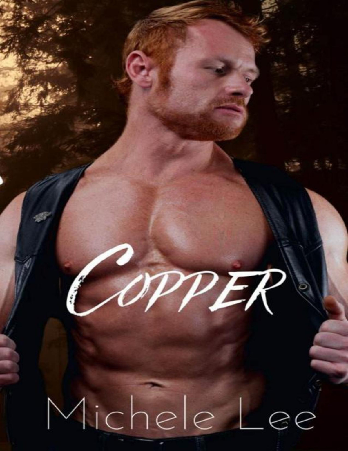 Copper Nameless Order Mc Book 4 Michele Lee