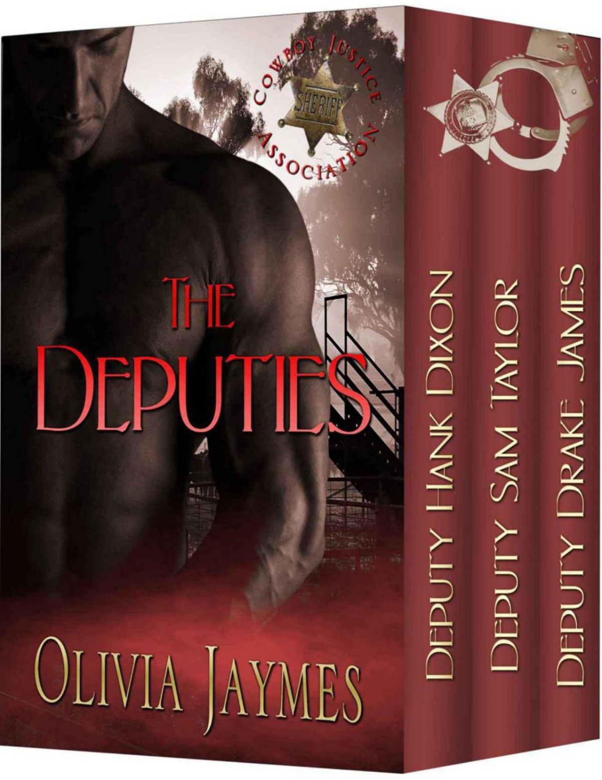 The Deputies 3 Novella Box Set Olivia Jaymes