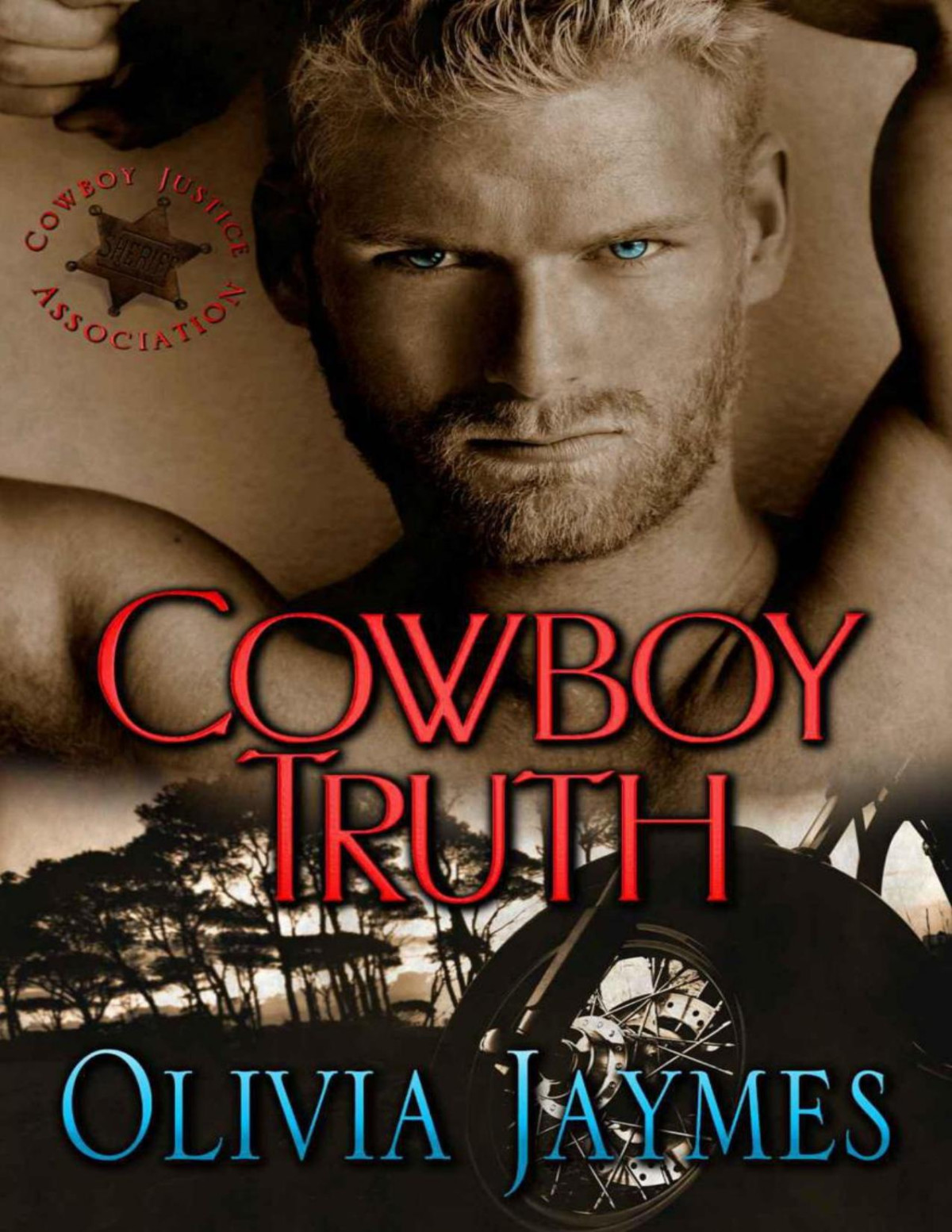 Cowboy Truth Cowboy Justice Association 3 Olivia Jaymes