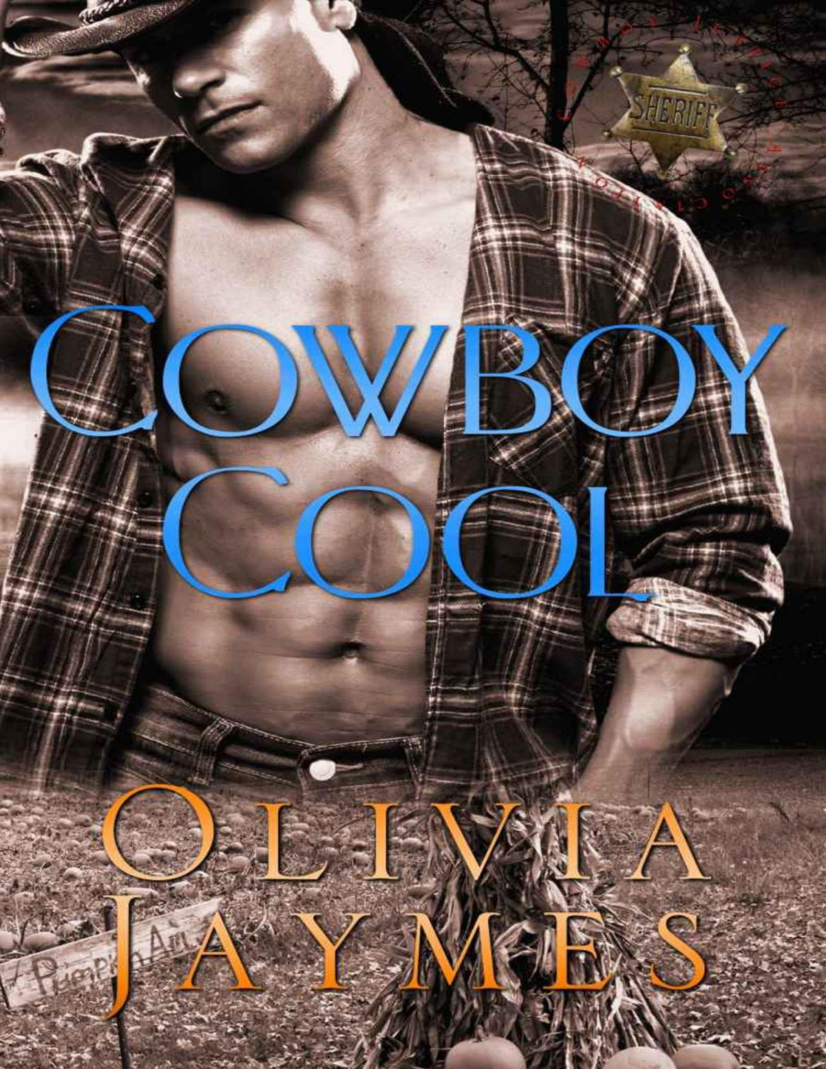 Cowboy Cool Book 5 Cowboy Justice Association Olivia Jaymes