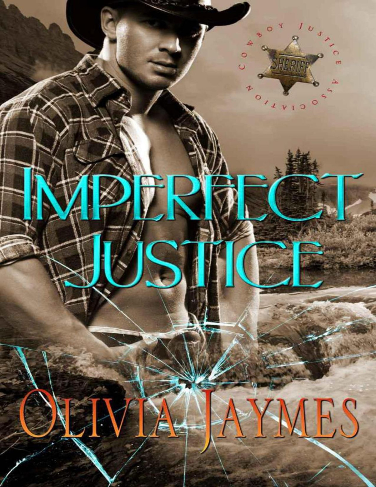Imperfect Justice Olivia Jaymes
