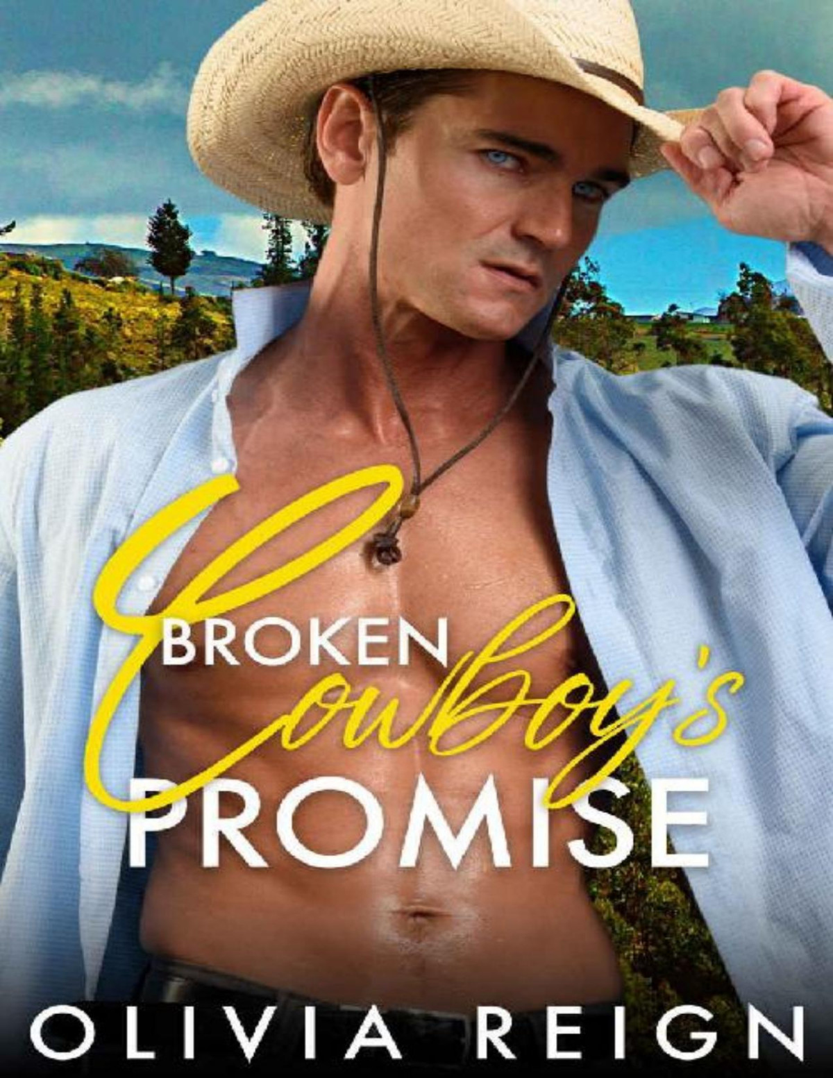 Broken Cowboys Promise A Second Chance Military Romance Olivia Reign