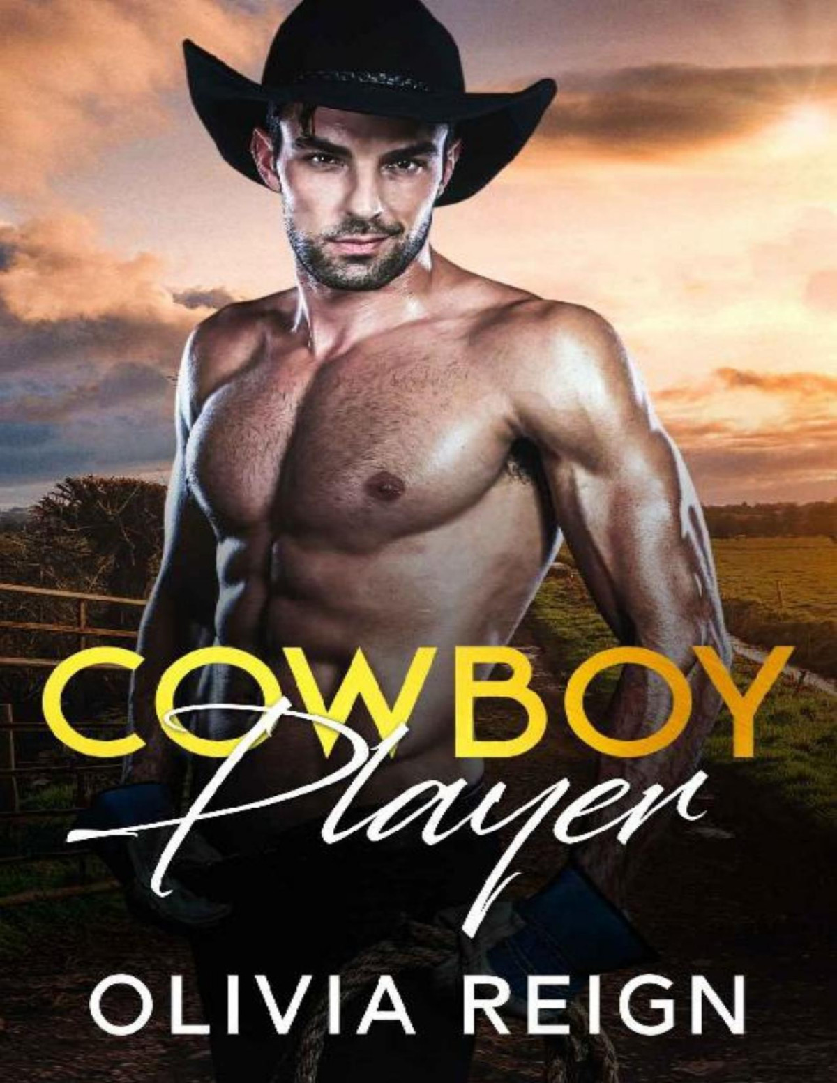 Cowboy Player A Sports Player Accidental Pregnancy Romance Olivia Reign
