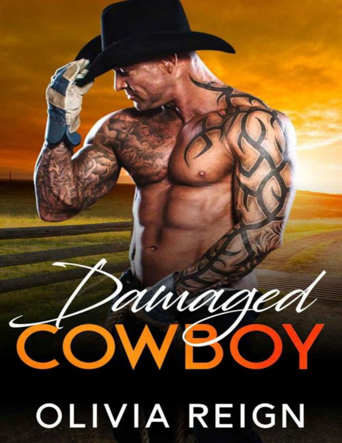 Damaged Cowboy A Military Single Dad Brothers Best Friend Romance Olivia Reign