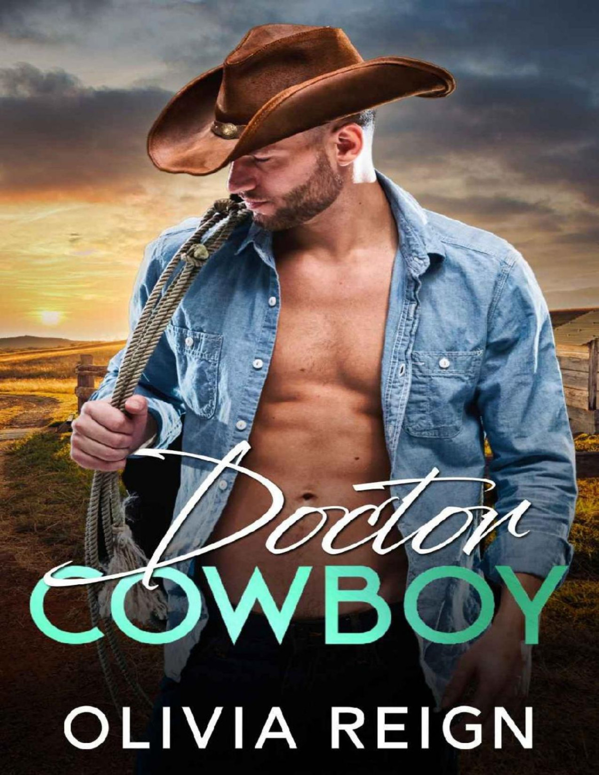 Doctor Cowboy A Second Chance Enemies To Lovers Romance Olivia Reign