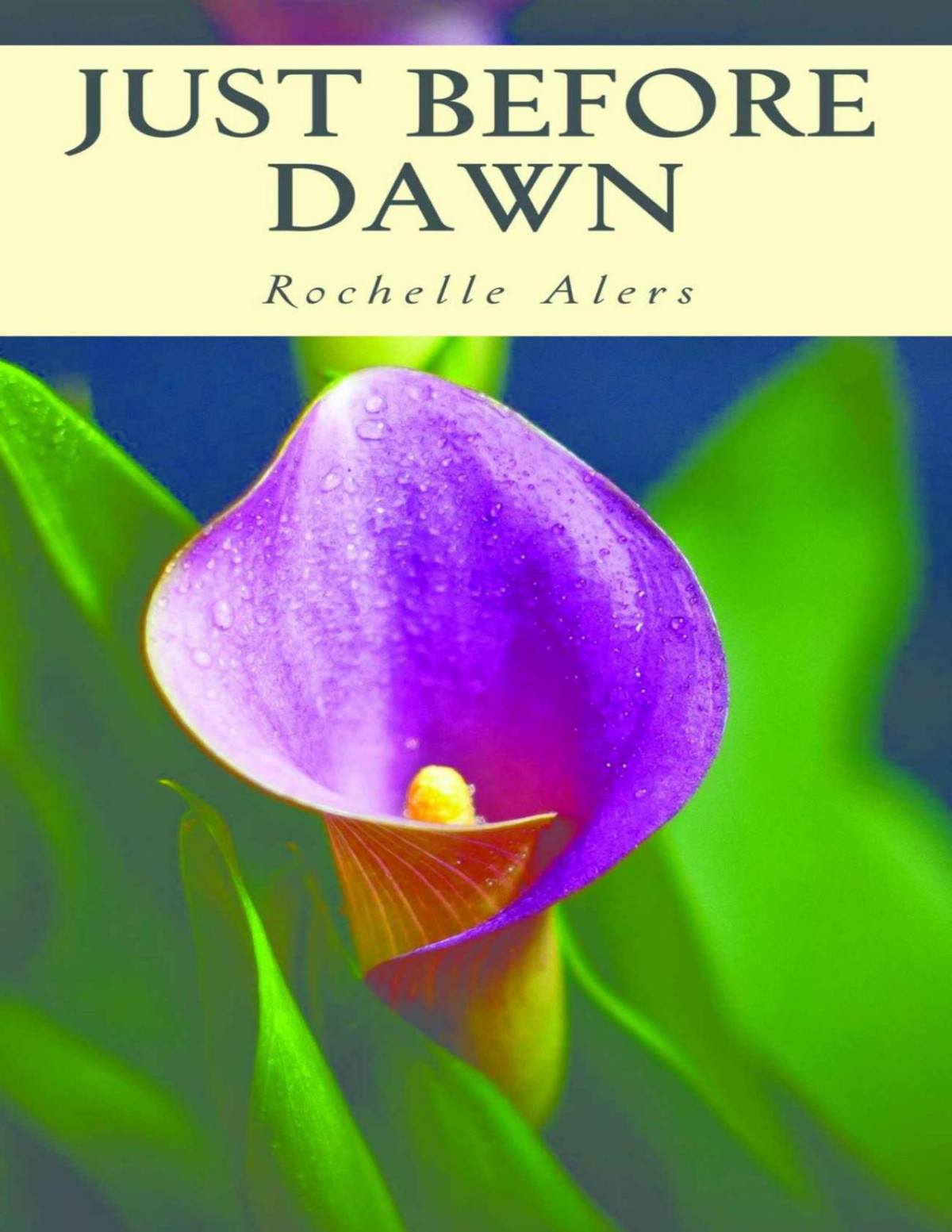 Hideaway Legacy Series 6 Just Before Dawn Rochelle Alers