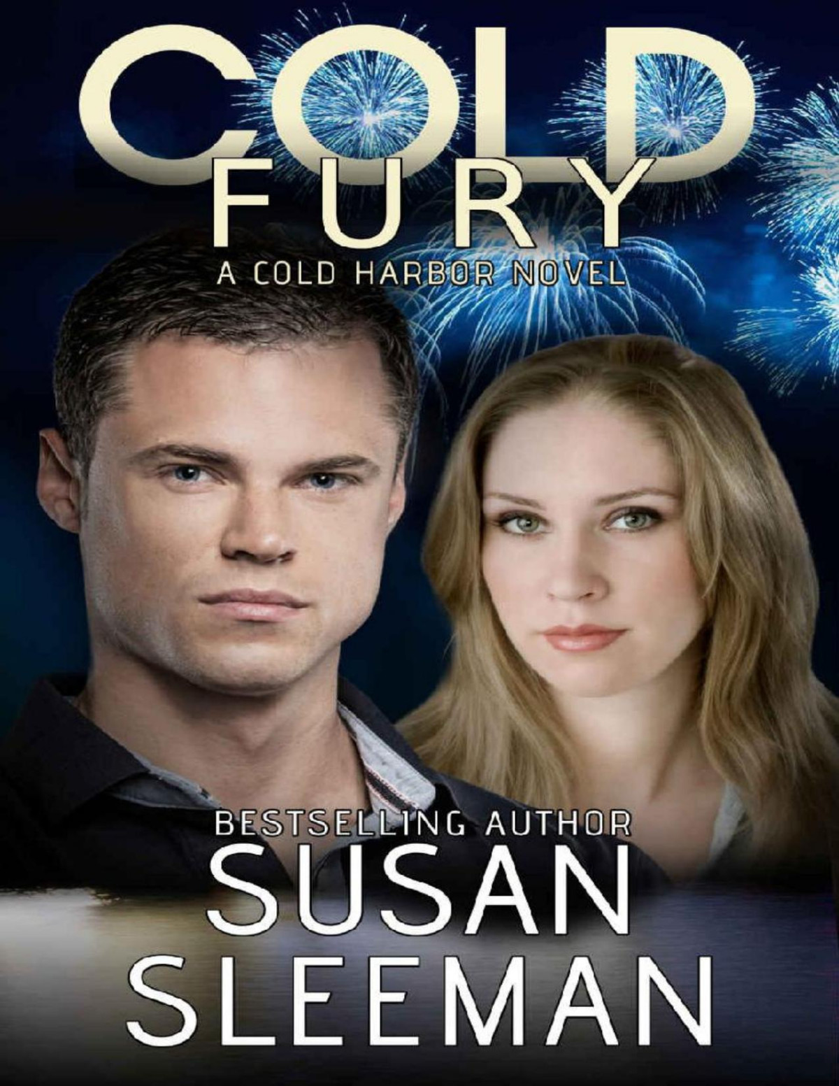 Cold Fury Susan Sleeman