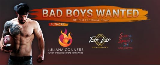 Two Bad Brothers An Mfm Menage Romance Juliana Conners Sierra Sparks
