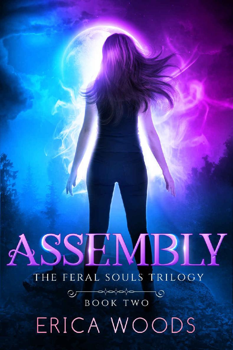 Assembly The Feral Souls Trilogy Book 2 Erica Woods
