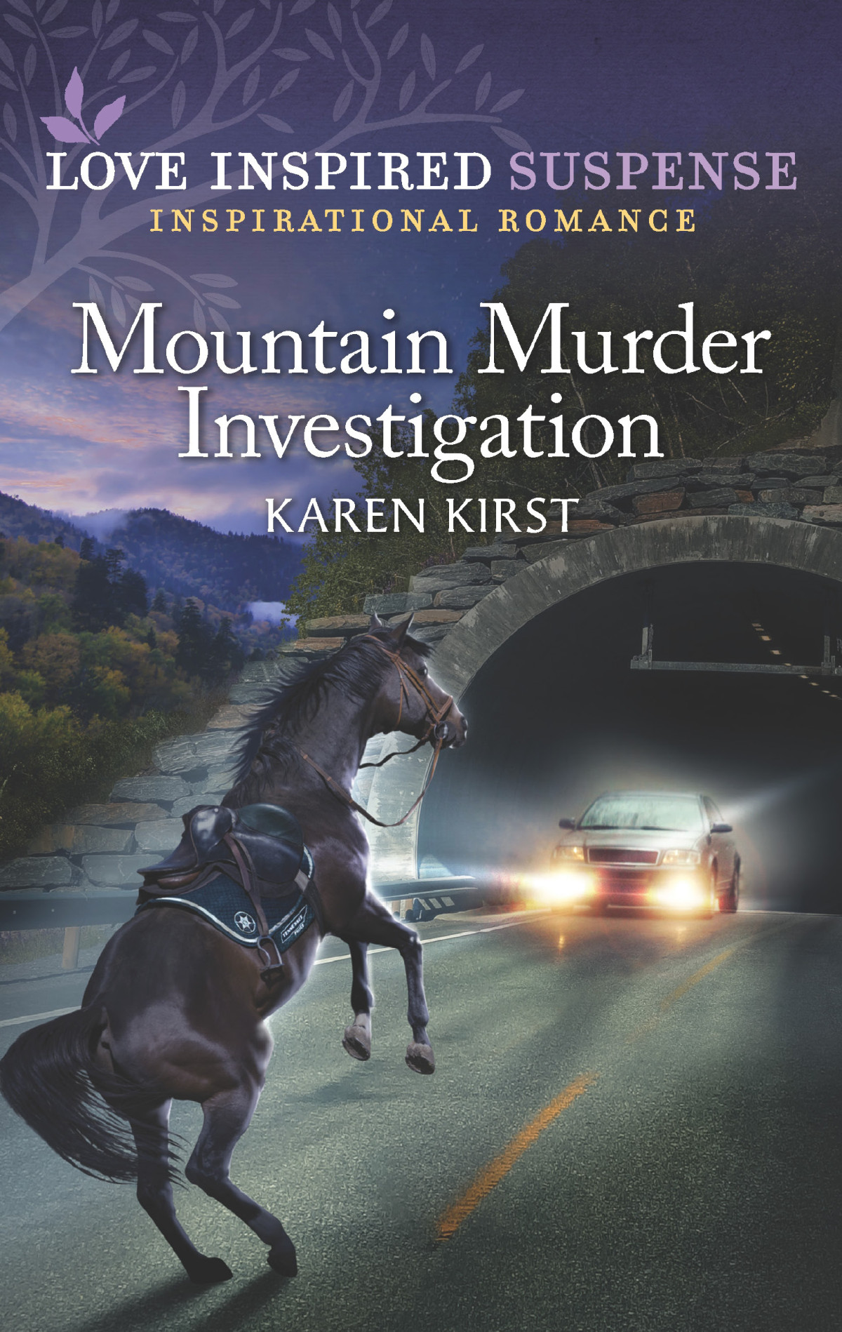 Mountain Murder Investigation Karen Kirst