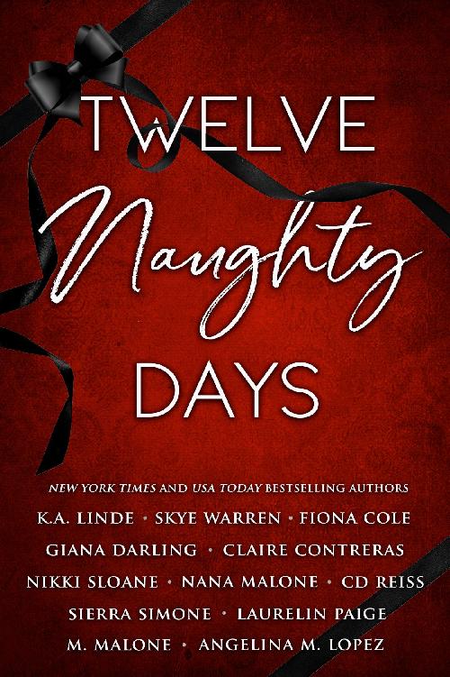 Twelve Naughty Days Anthology