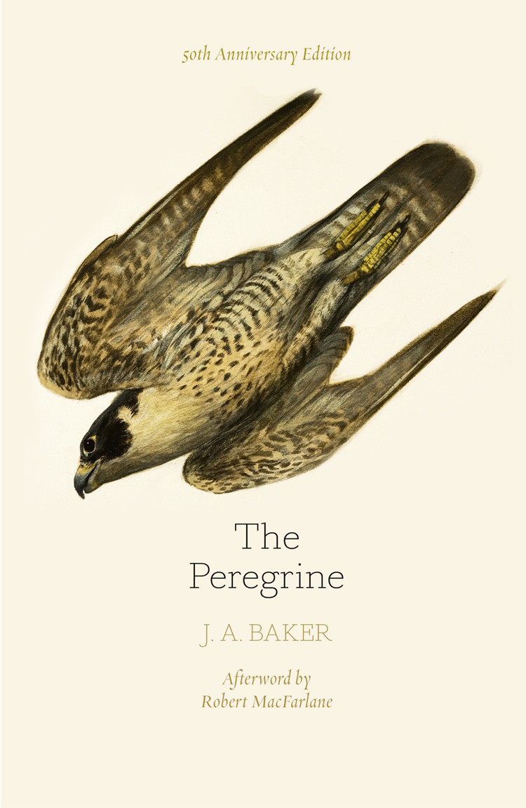 The Peregrine 50th Anniversary Edition 2nd Edition J A Baker