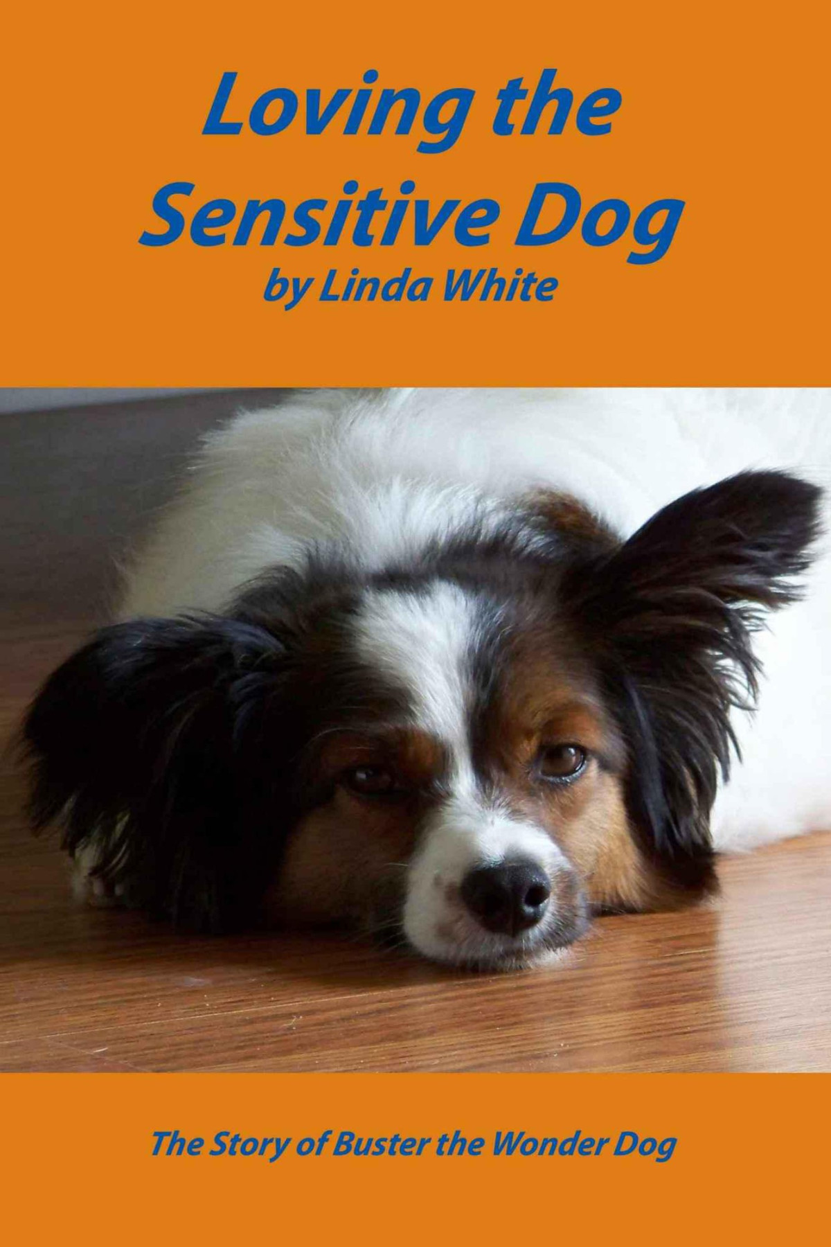 Loving The Sensitive Dog Linda White Regina Duke