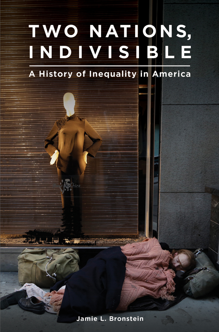 Two Nations Indivisible A History Of Inequality In America Bronstein
