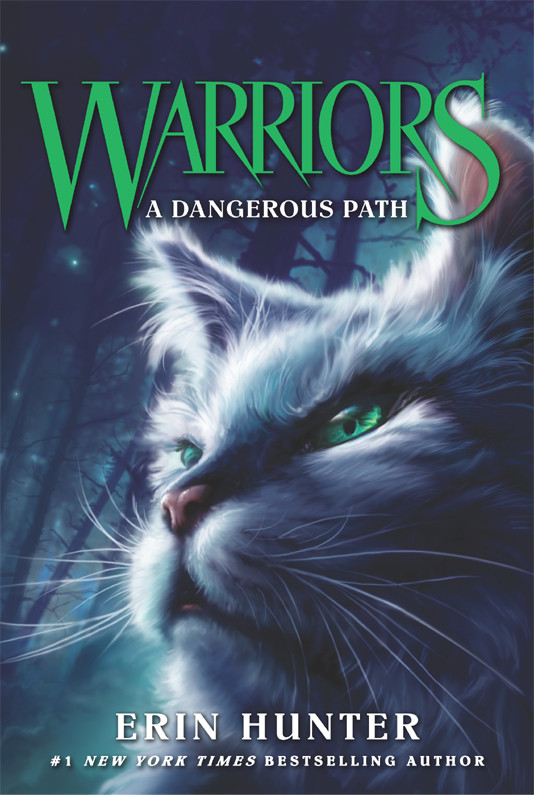 Warriors 5 A Dangerous Path Erin Hunter