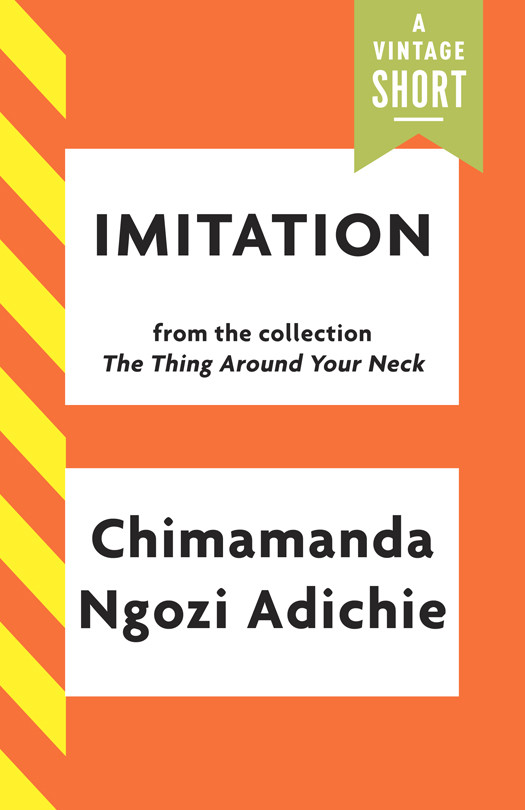 Imitation Chimamanda Ngozi Adichie
