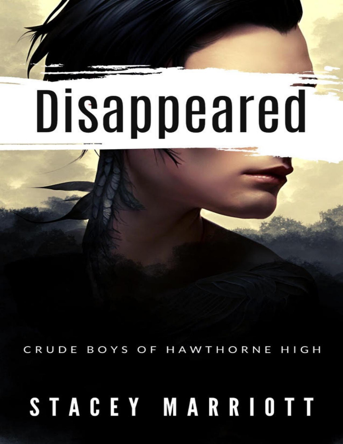 Disappeared Crude Boys Of Hawthorne High Book 1 Stacey Marriott