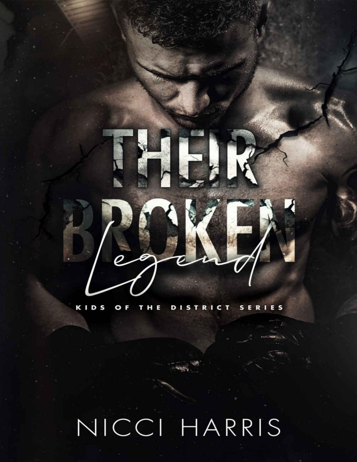 Their Broken Legend A Standalone Boxing Romance Kids Of The District Book 6 Nicci Harris