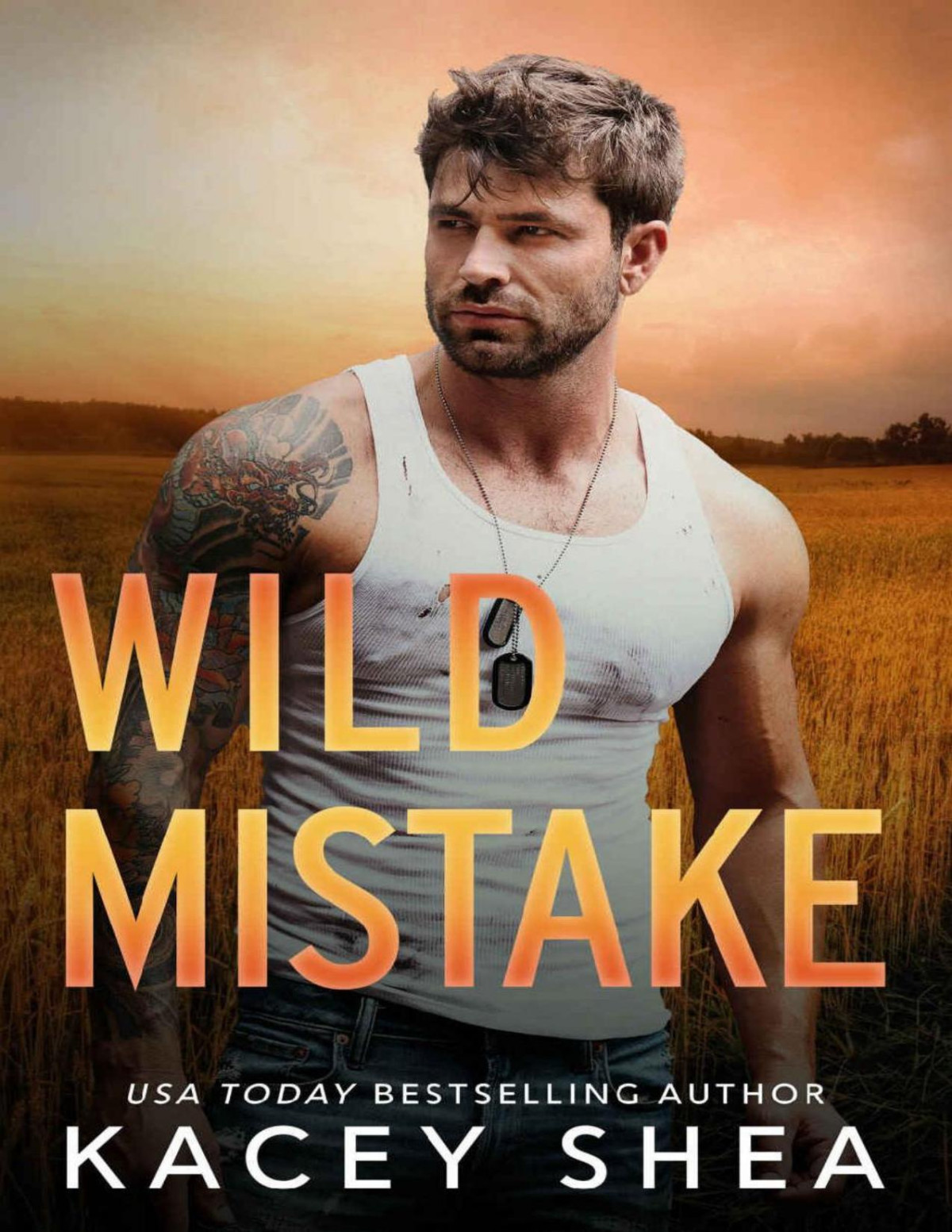 Wild Mistake A Second Chance Small Town Single Parent Romance Wilder Valley Kacey Shea