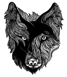 Raven The First Unkindness Leigha Wolffe