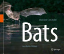 Bats Johan Eklf Jens Rydell