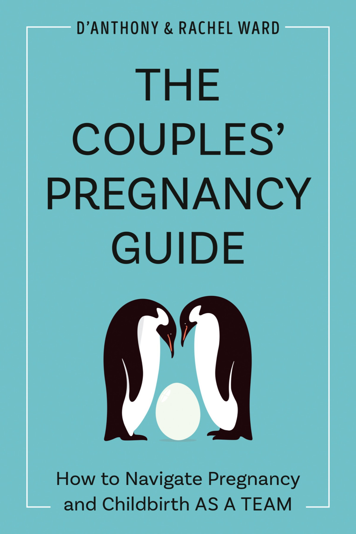 The Pregnancy Planning Guide How To Navigate Pregnancy And Childbirth As A Team Danthony Ward Rachel Ward