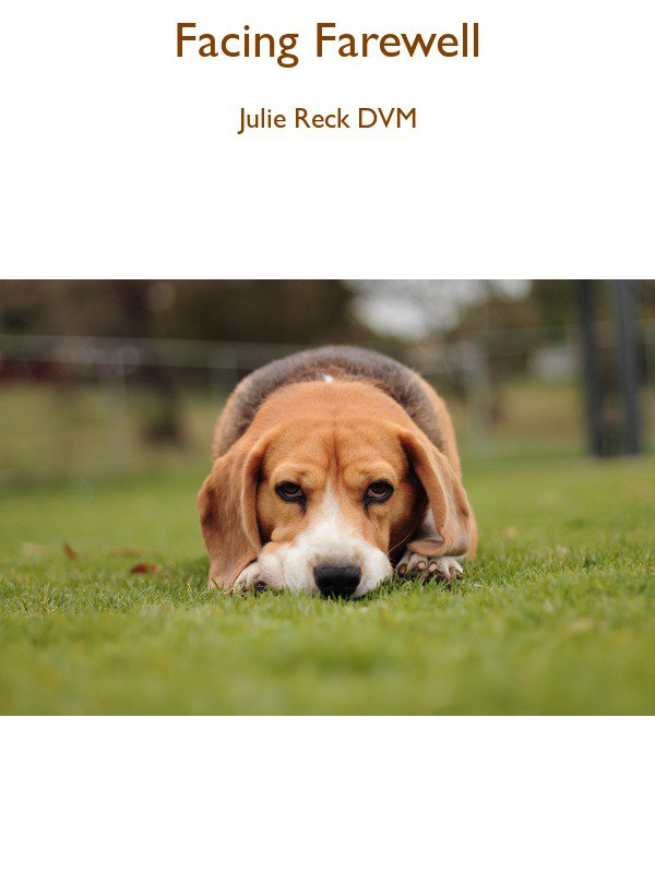 Facing Farewell Julie Reck Dvm