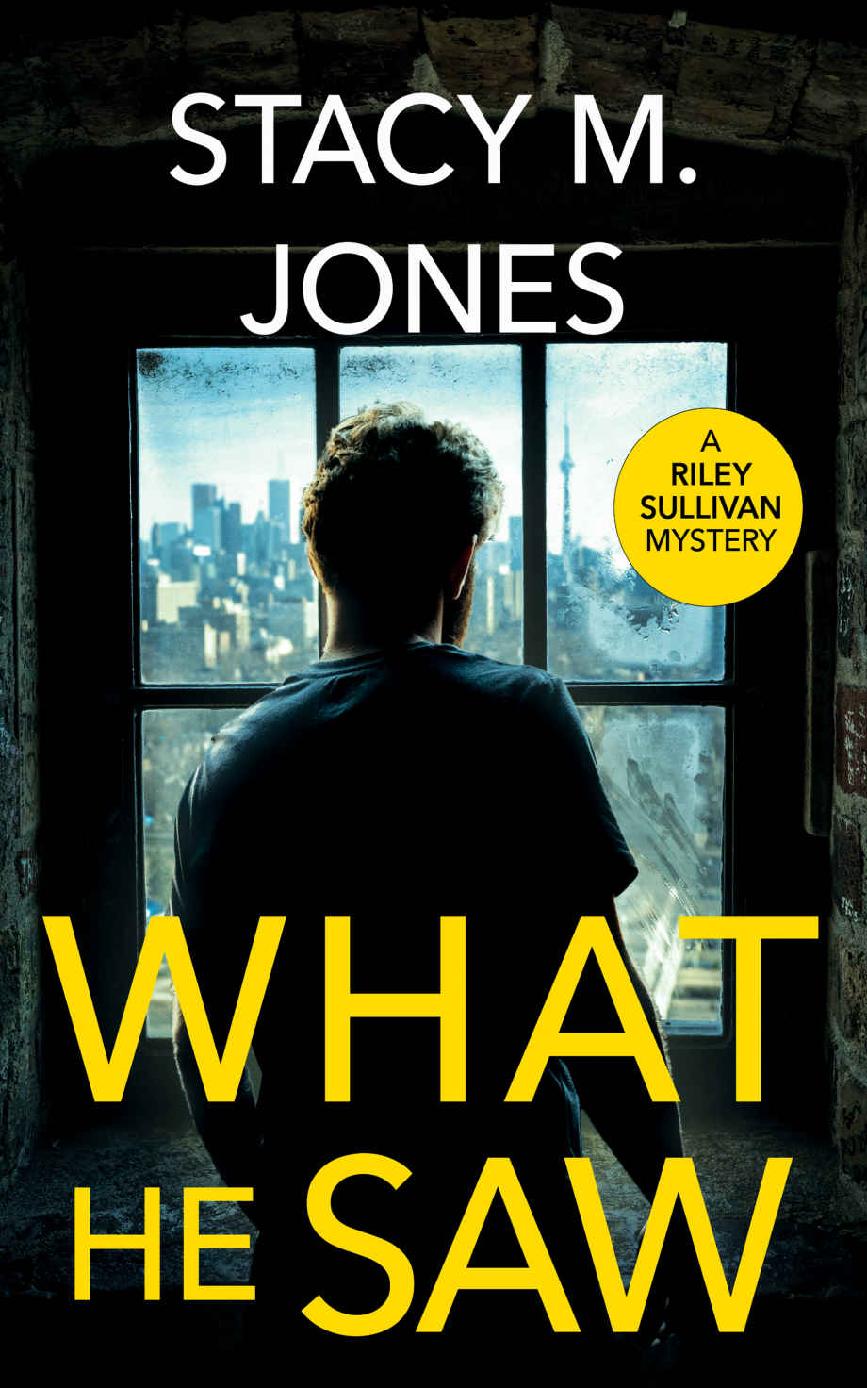 What He Saw Stacy M Jones