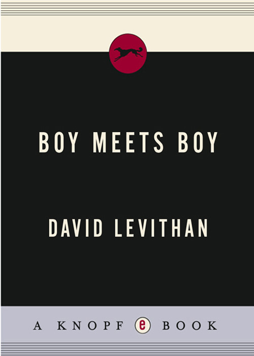 Boy Meets Boy David Levithan