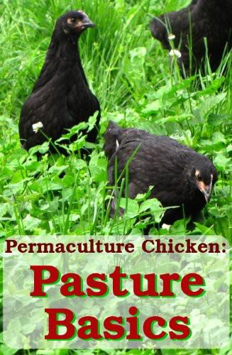 Pasture Basics How To Keep The Grass Green And Your Chickens Happy Permaculture Chicken Book 2 Anna Hess
