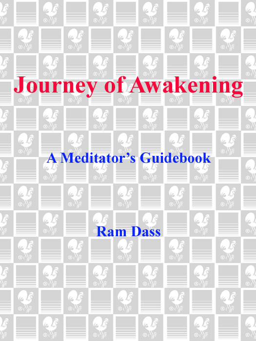 Journey Of Awakening Ram Dass