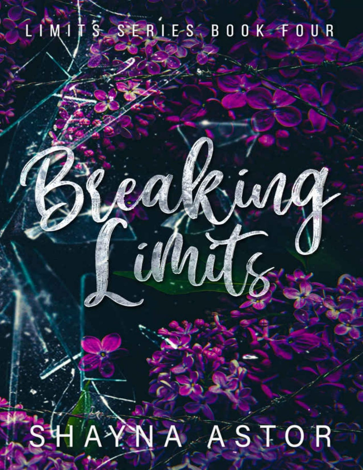 Breaking Limits The Limits Series Book 4 Shayna Astor