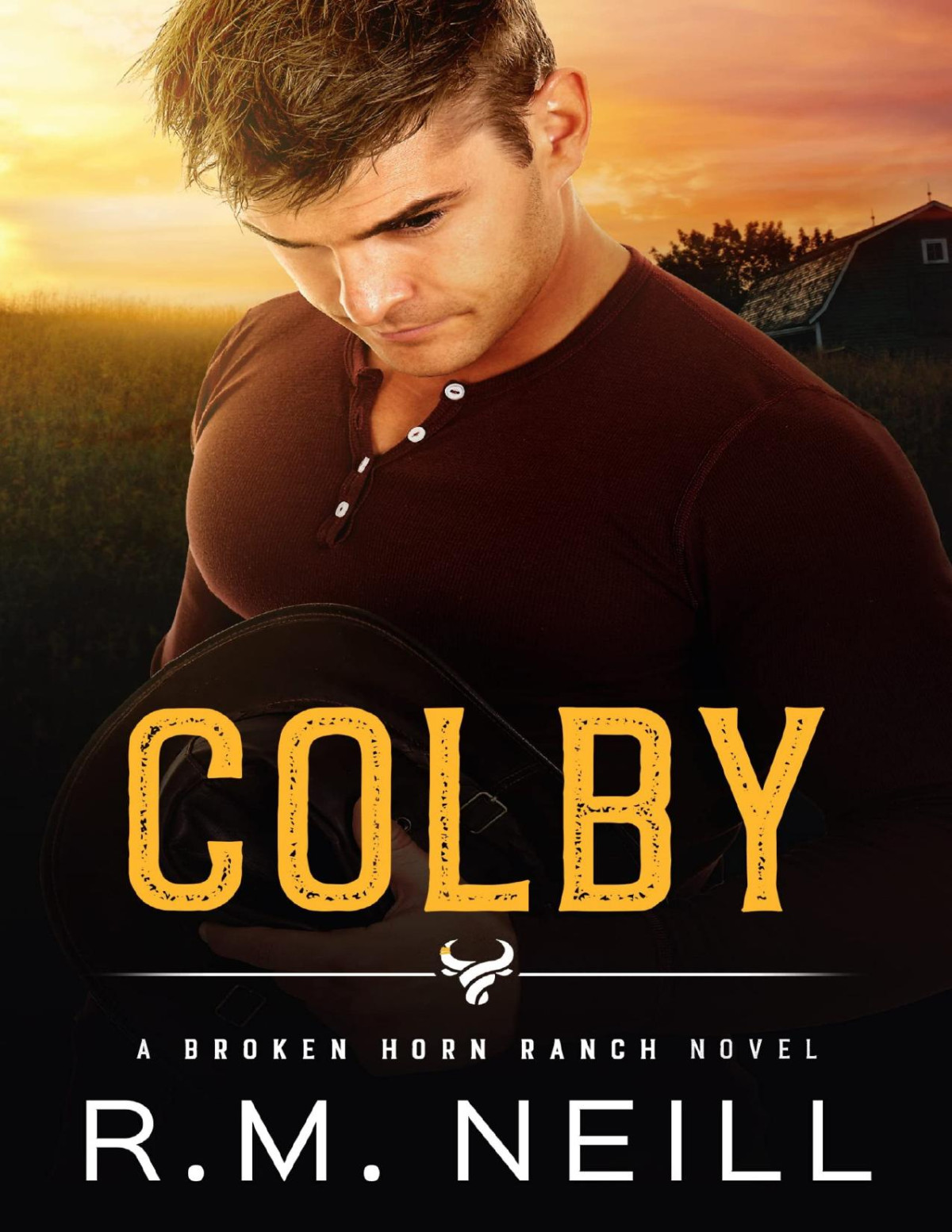 Colby Mm Step Brothers Second Chance Romance The Broken Horn Ranch Rm Neill
