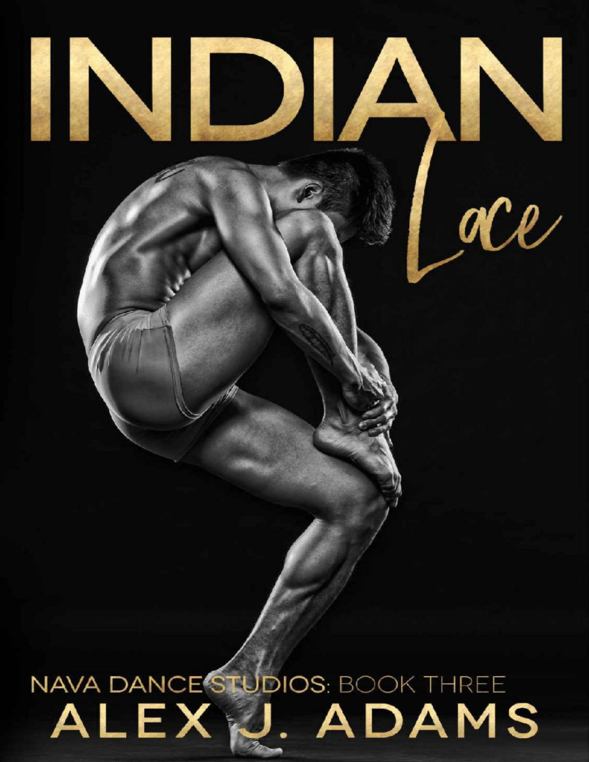 Indian Lace Nava Dance Studios Book 3 Alex J Adams