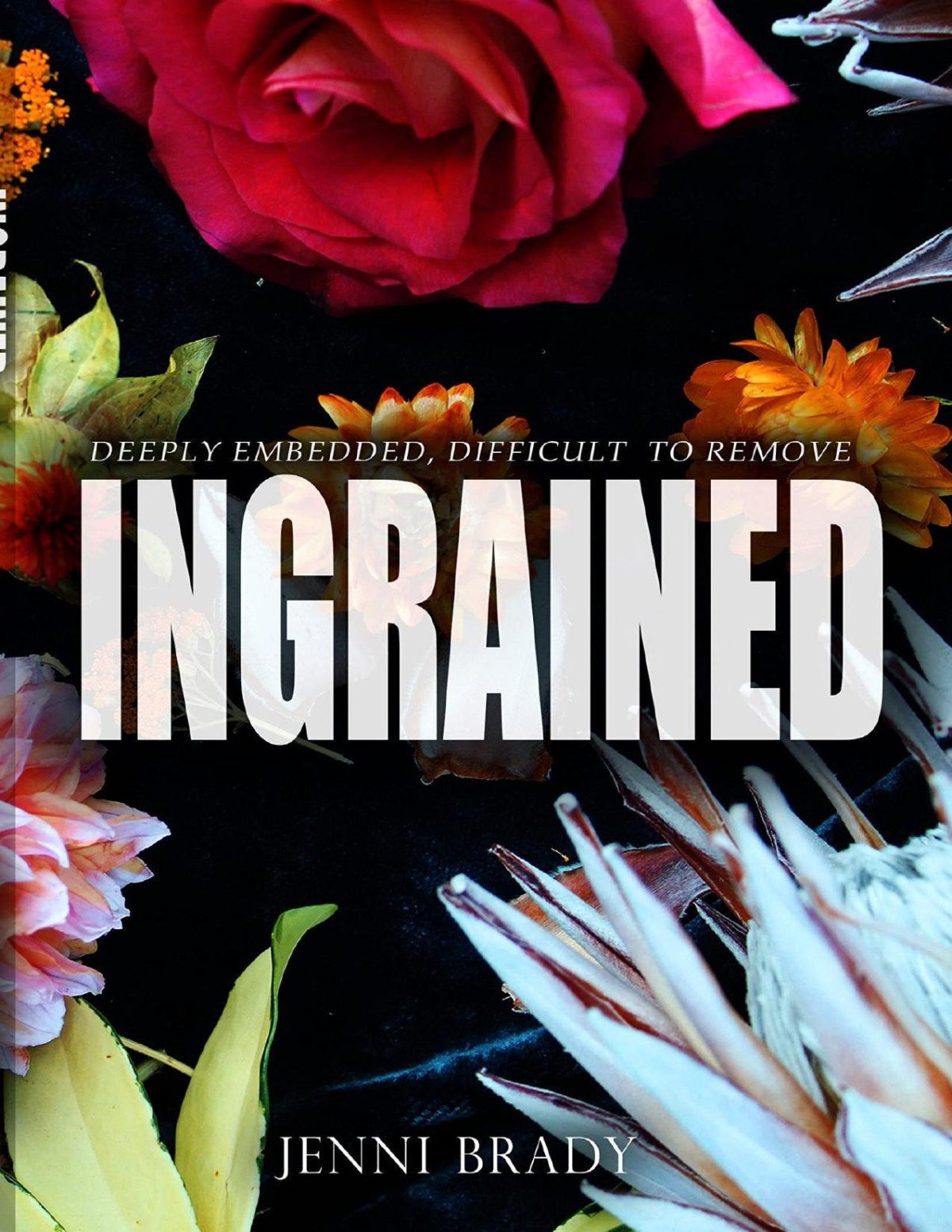 Ingrained Jenni Brady