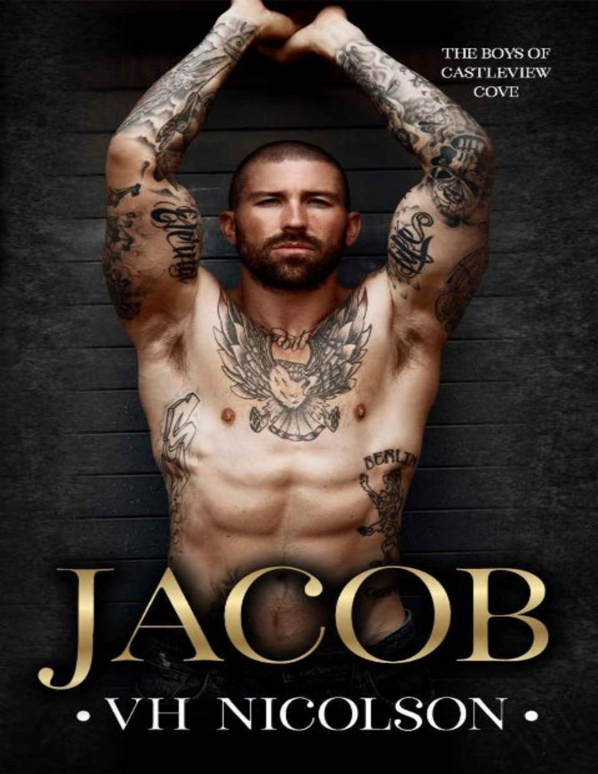 Jacob The Boys Of Castleview Cove Book 2 Vh Nicolson