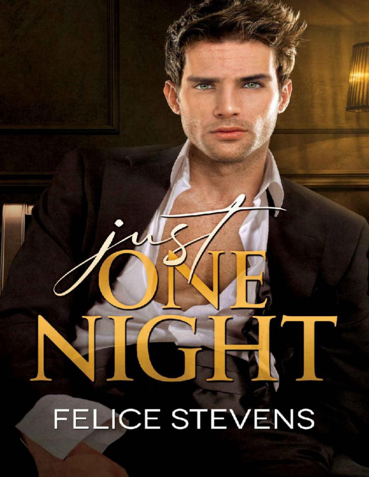 Just One Night A Billionaireescort Gay Romance Felice Stevens