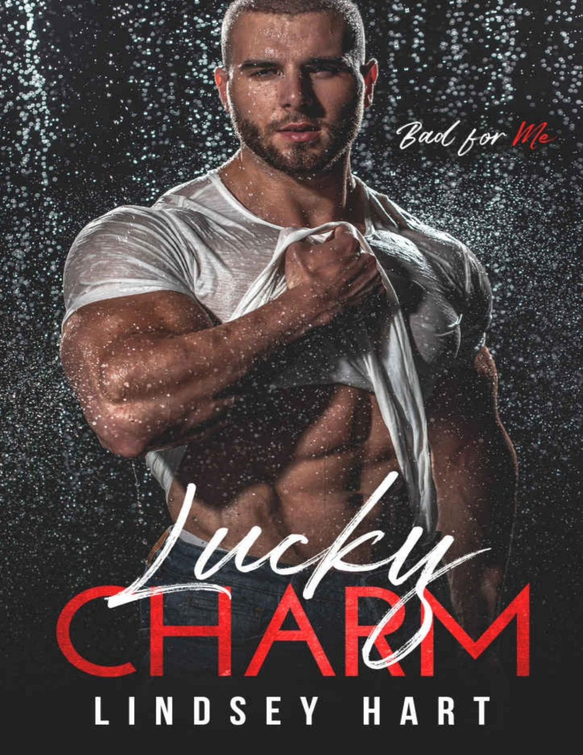 Lucky Charm Bad For Me Book 3 Lindsey Hart