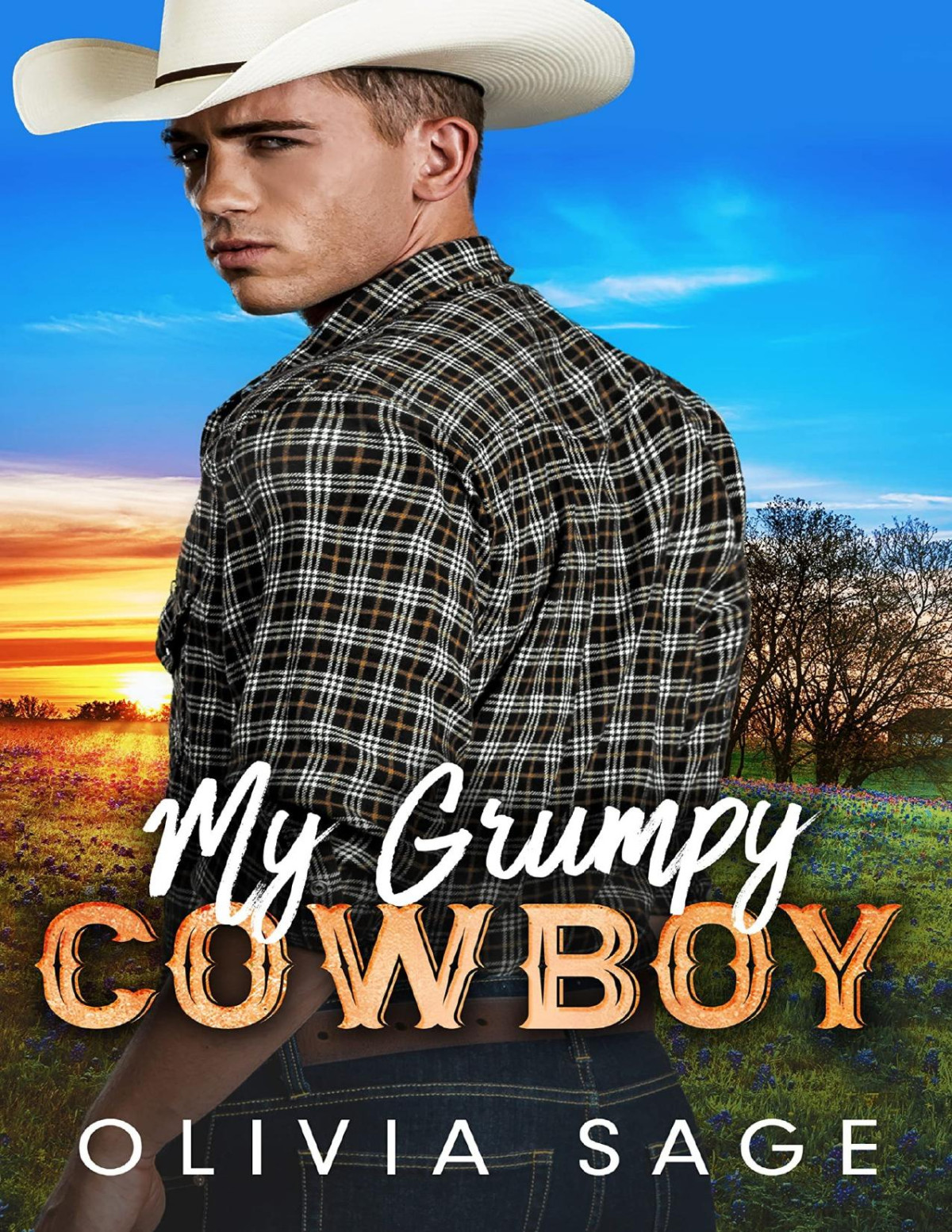 My Grumpy Cowboy Olivia Sage
