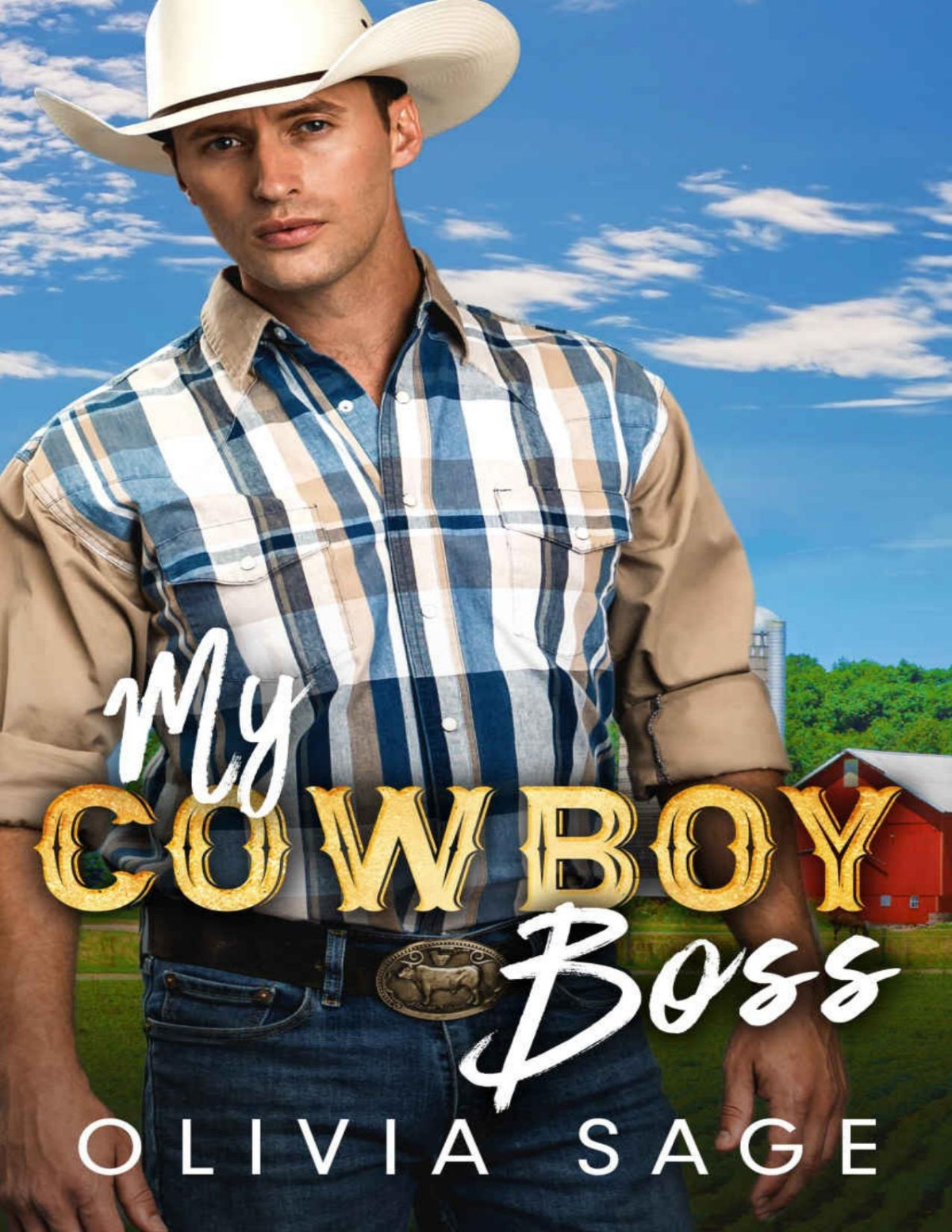 My Cowboy Boss A Single Dad Small Town Sweet Romance Olivia Sage
