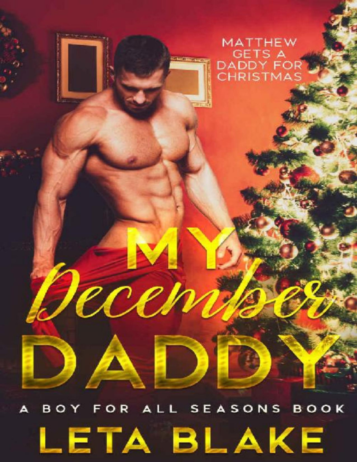 My December Daddy A Boy For All Seasons Novel Leta Blake