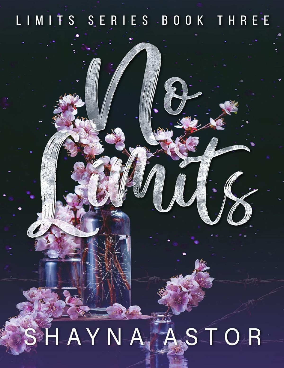 No Limits The Limits Series Book 3 Shayna Astor